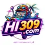 HI309 Game